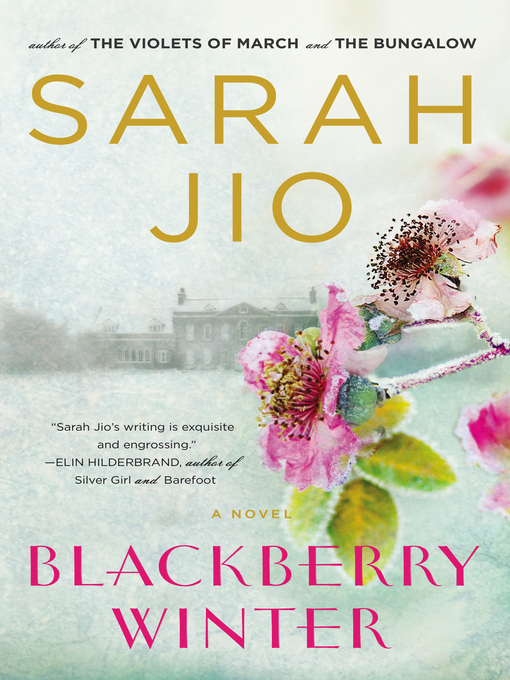 Title details for Blackberry Winter by Sarah Jio - Wait list
